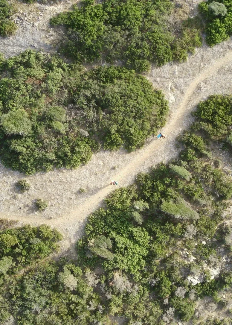 La macchia mediterranea della Sardegna