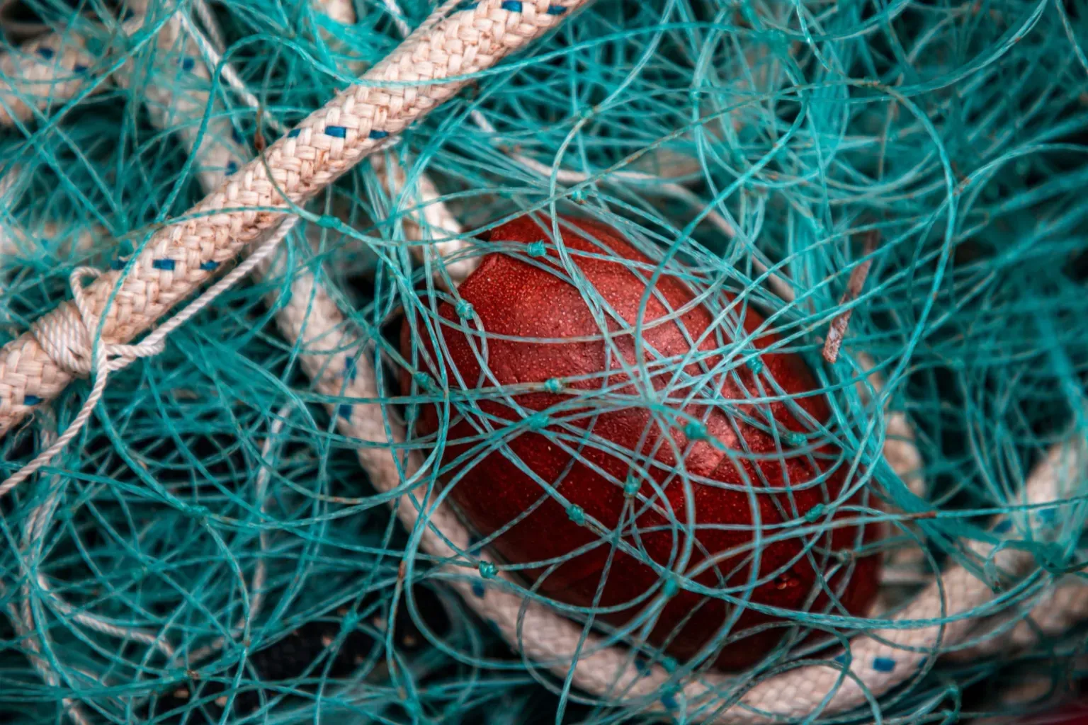 Federico burgalassi Ooaqxx WUB 8 unsplash