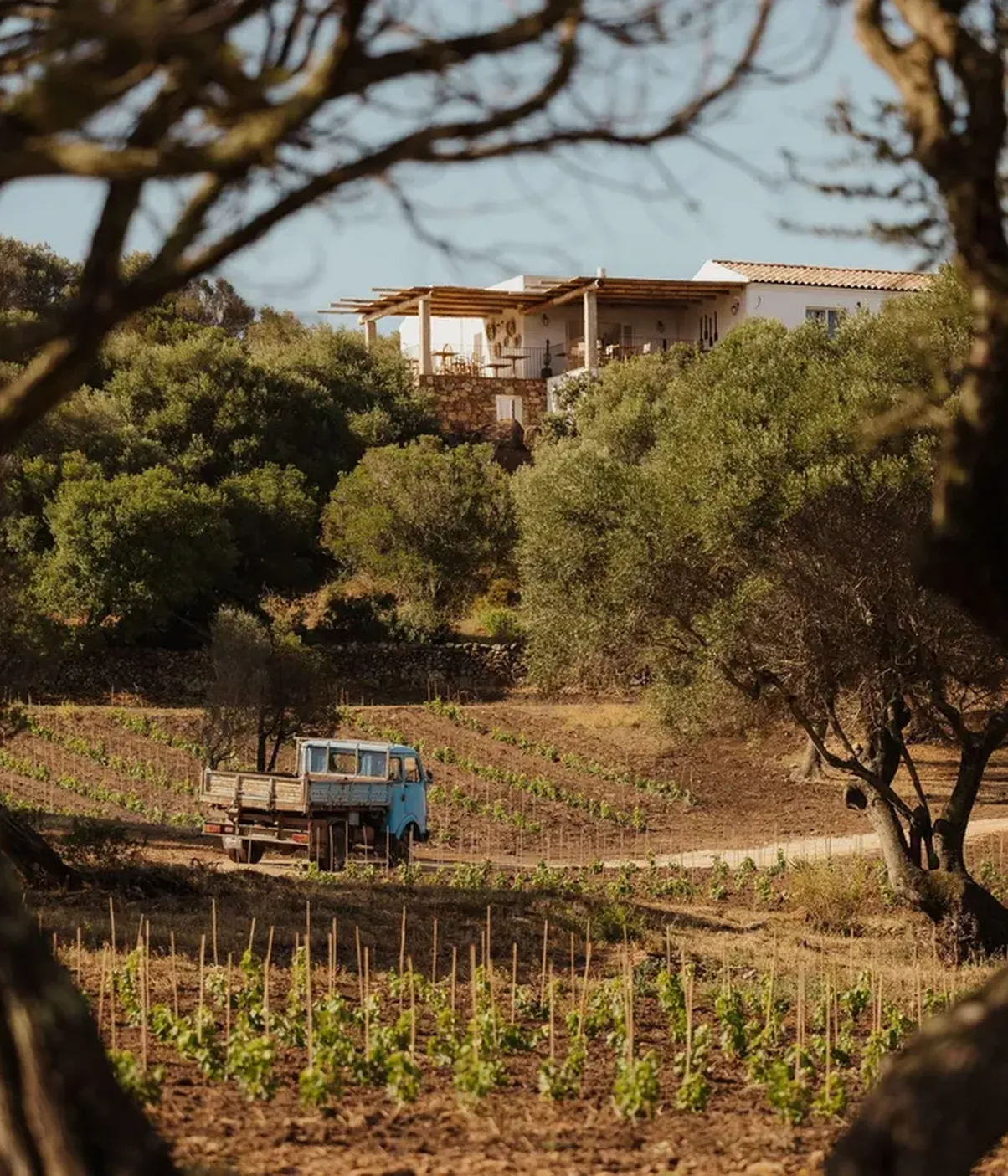 Alex Moling Nuali Agricoltura 11