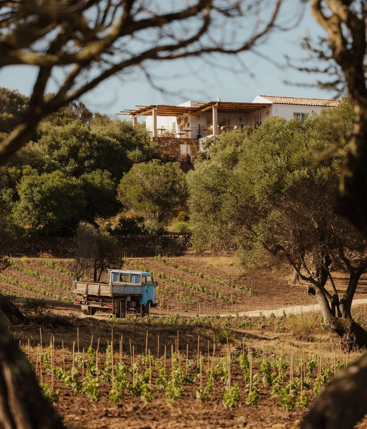 Alex Moling Nuali Agricoltura 11