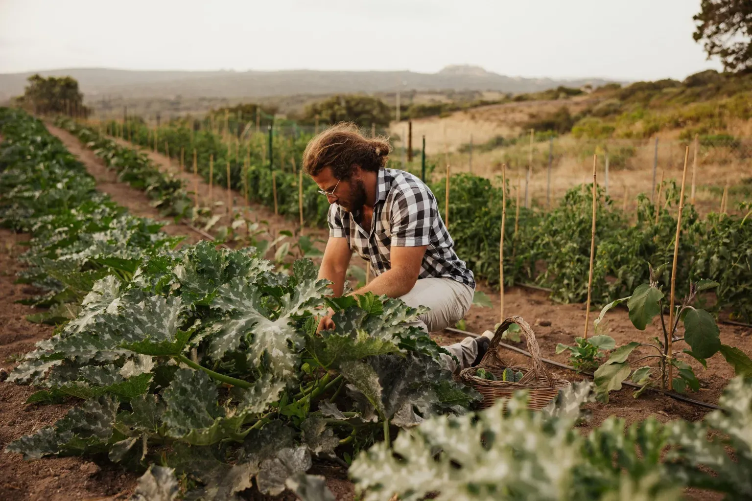 Alex Moling Nuali Agricoltura 44