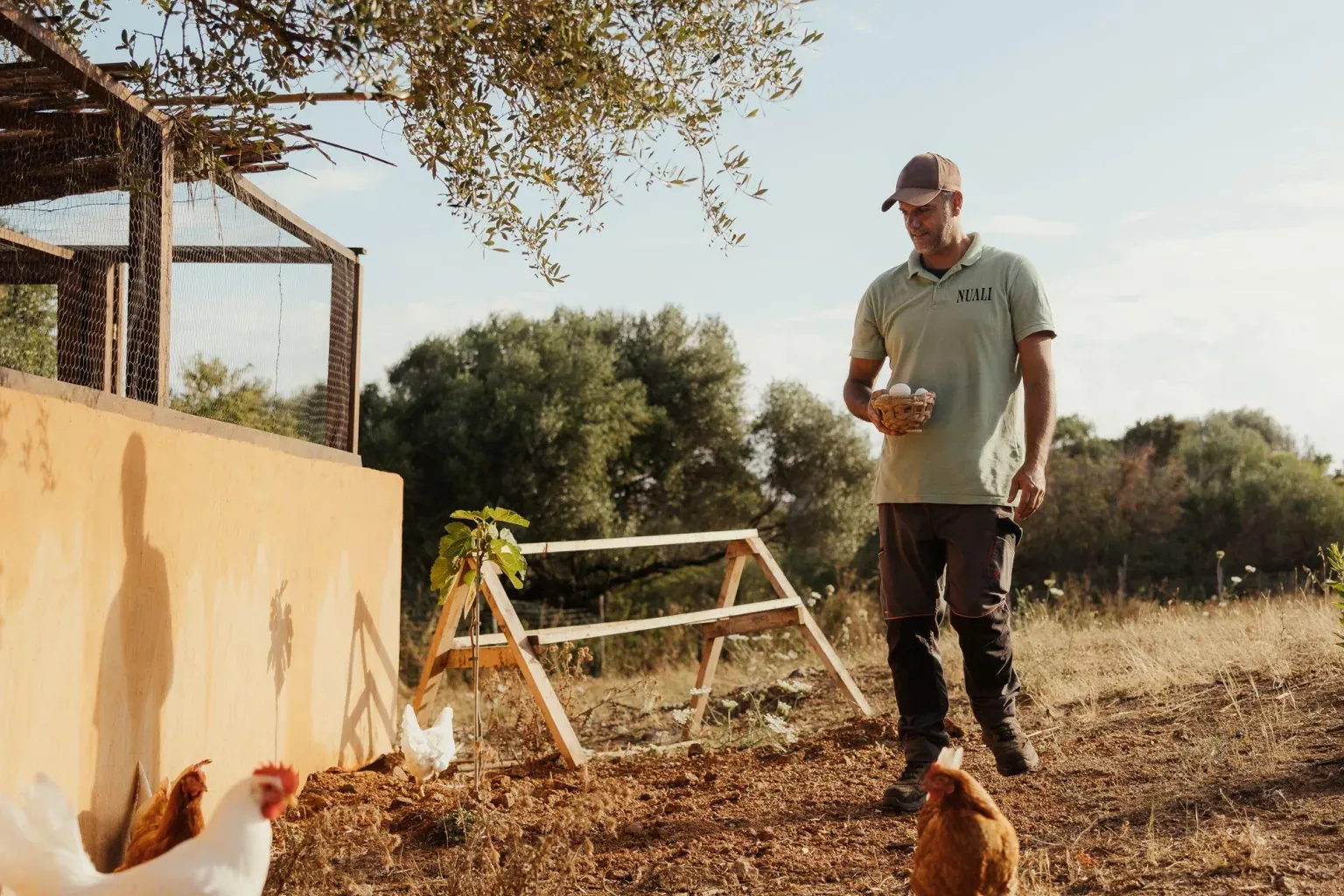 Alex Moling Nuali Agricoltura 32