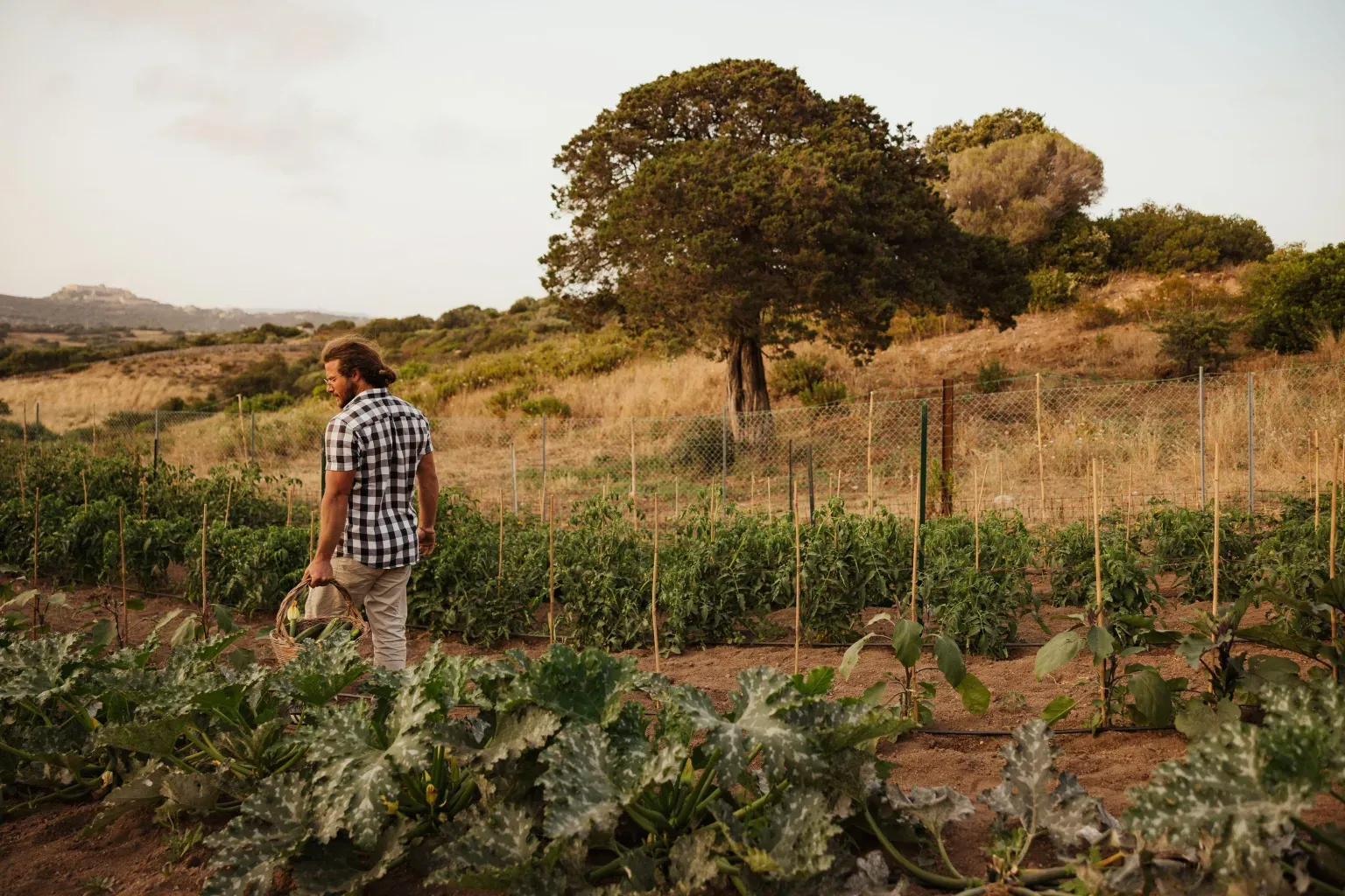 Alex Moling Nuali Agricoltura 43