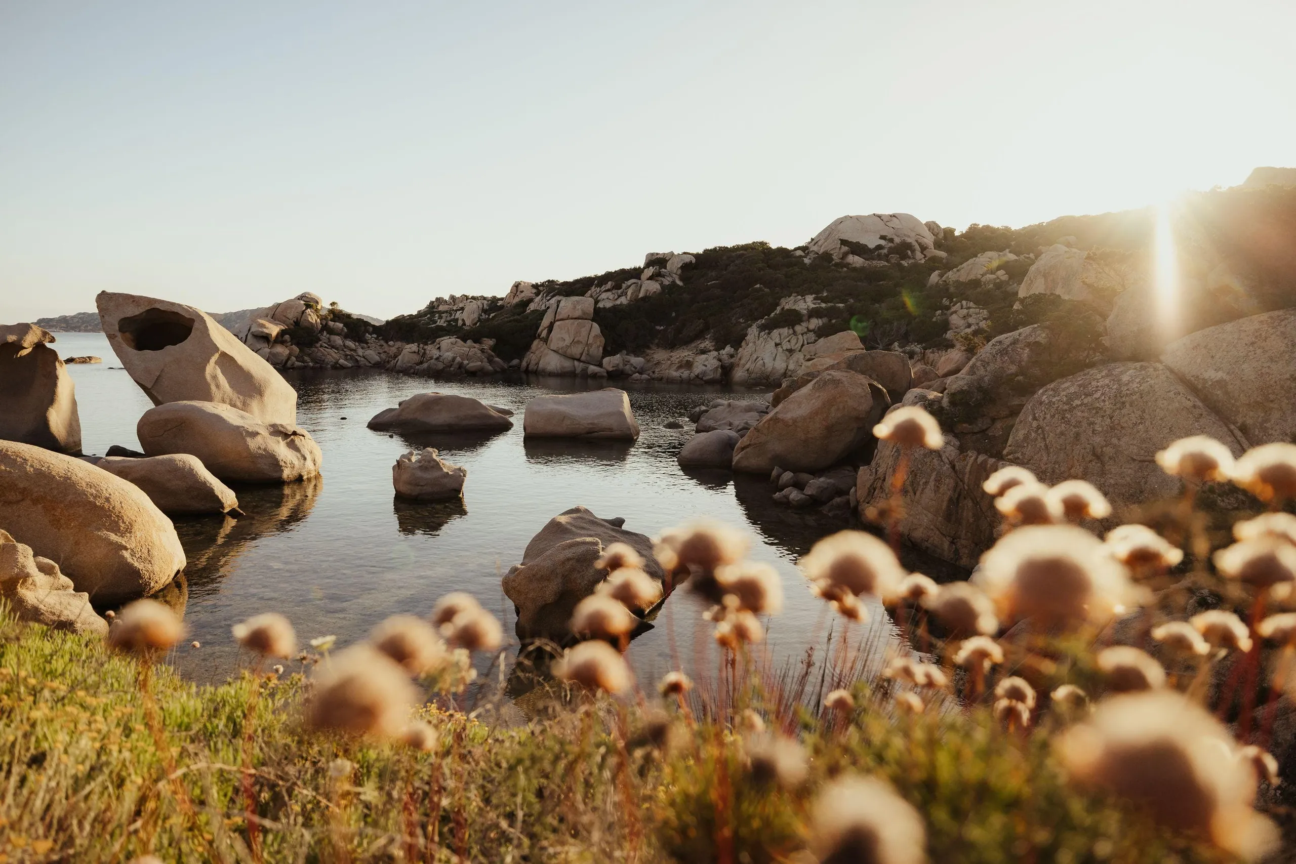 Alex Moling Nuali Esperienze 50